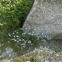 ���� �����, �����������, 59 ��� - ��������� 30 ���� 2025 � ������ ���� ����������