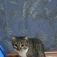 Nikita, 22 ����, ������