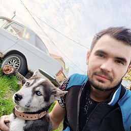 , 32, 