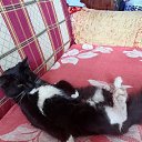 ���� ������, �������, 68 ��� - ��������� 9 �������� 2025 � ������ ������ ��������