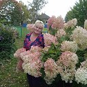 ���� �������, ������, 63 ���� - ��������� 27 ������ 2023