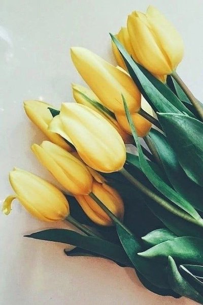 ������� ������ ������ - 6 ������ 2024 � 06:43 - 5