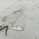 ���� ��������, ����, 44 ���� - ��������� 27 ������ 2026 � ������ �����