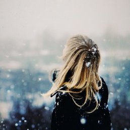 ������, ���������, 41 ���