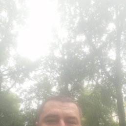 , 45 , 