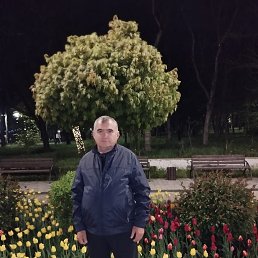 , 55, 