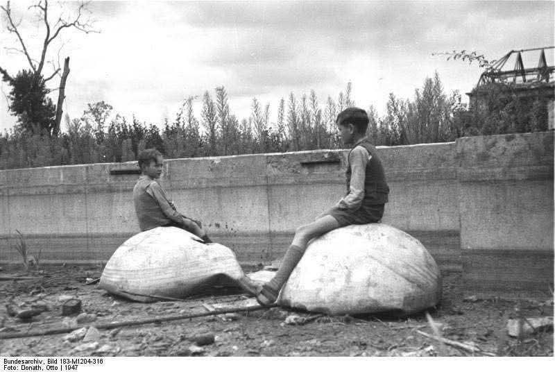 :)       ,    .      ... - 5