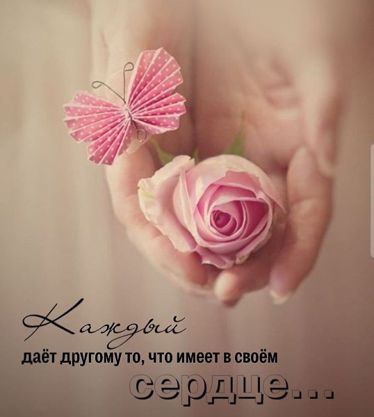  - 8  2024  09:01