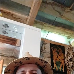 ������, 45 ���, ����