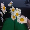 ���� �������, ���������, 43 ���� - ��������� 24 ����� 2024