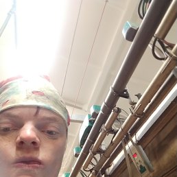 , 37, 