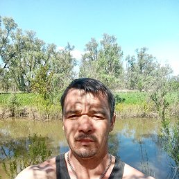 , 34, 