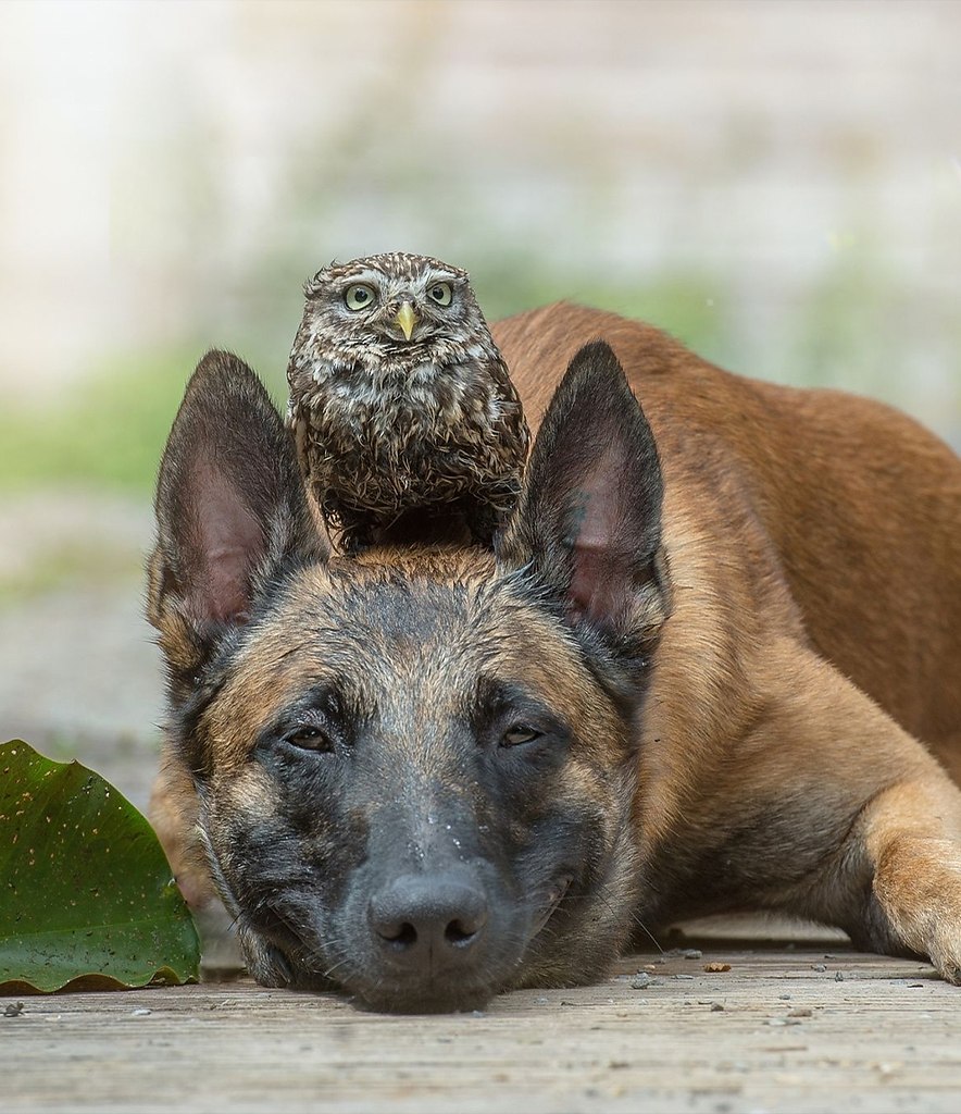 �������� �������� ���� ������ �������� �������� ����� ������ �������, ��� ����������� ������� ���� ... - 2