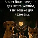 ���� ������� ������, ������, 69 ��� - ��������� 13 �������� 2026 � ������ ������