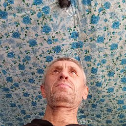 �������, 48 ���, ���������