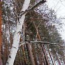 ���� ���������, ������������ - ��������� 28 ������ 2025 � ������ ���� ����������