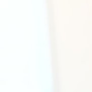 ������, 38 ���, ������