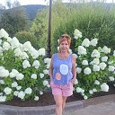  , --, 61  -  1  2025    