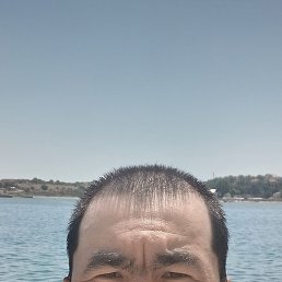 , 33, 
