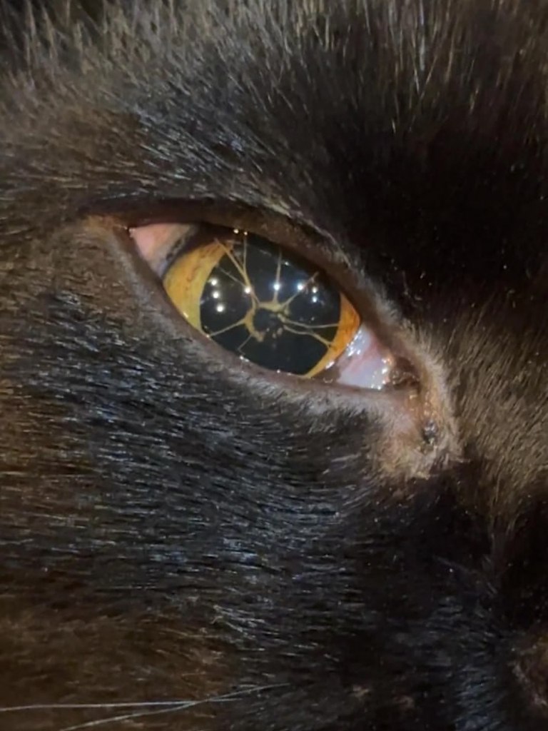    Reddit    ,      ...