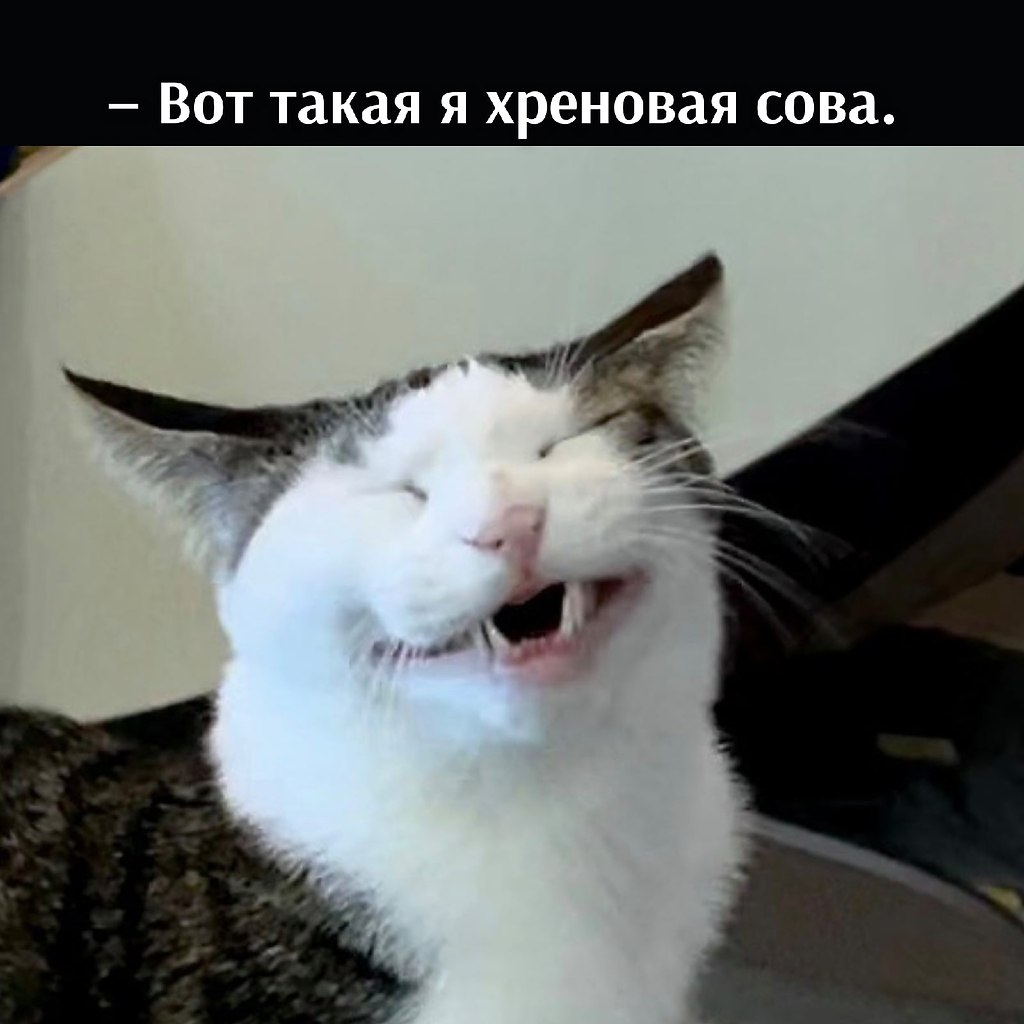 ��� ���� � ����� �� �� - 20 ����� 2026 � 22:30 - 4
