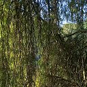 ���� ����, �����������, 48 ��� - ��������� 21 ���� 2025 � ������ ���� ����������