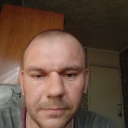 , 41 , 