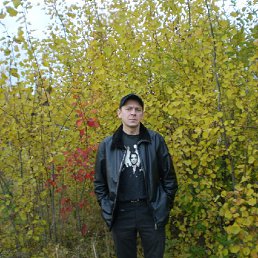 �����, 48 ���, ������