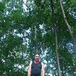 , 46, 