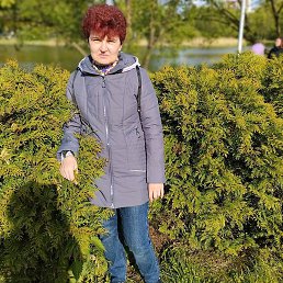 �����, �����������