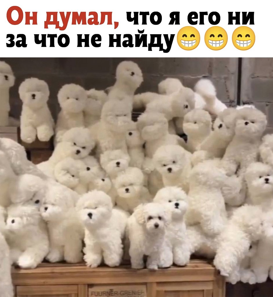   ?