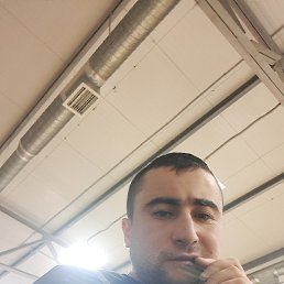 , 29, 