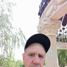 , 61, 