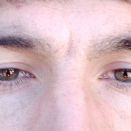 �������, ���������, 29 ���