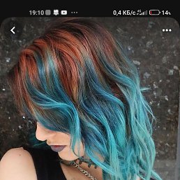 �����, �����-���������, 49 ���