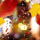 ���� �����, ����������� - ��������� 13 �������� 2025 � ������ ���� ����������