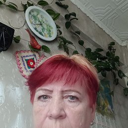 , 55, -