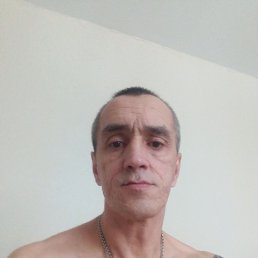 , 44,  