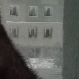 �������, ������, 56 ���