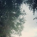  , , 37  -  18  2025    