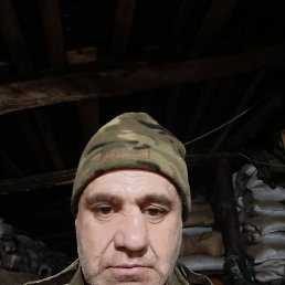 , 46, 