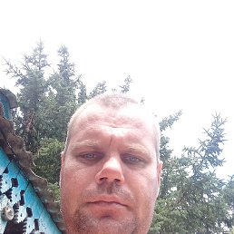 , 33, 