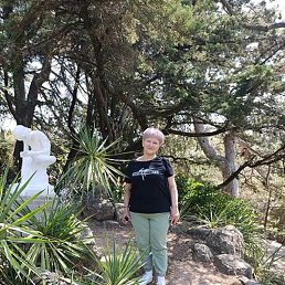 ���, �����, 66 ���