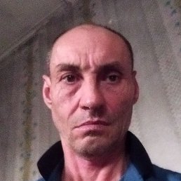 �������, ������, 49 ���