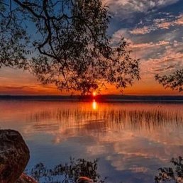 Artem, ������, 25 ���