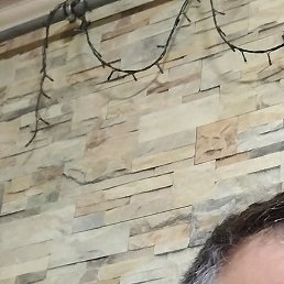 ���������, ���������, 43 ����