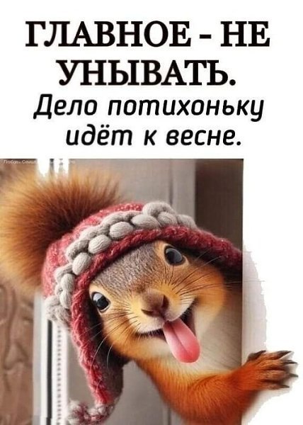 Kat�in - 22 ������� 2026 � 23:48