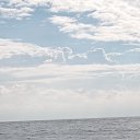 ���� �������, ������, 38 ��� - ��������� 31 ������� 2024 � ������ ���� ����������