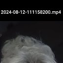���� �����, ������, 57 ��� - ��������� 13 ������� 2024 � ������ ���� ����������