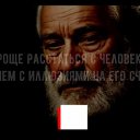 ���� ������, �������, 48 ��� - ��������� 8 ������ 2024 � ������ ���� ����������